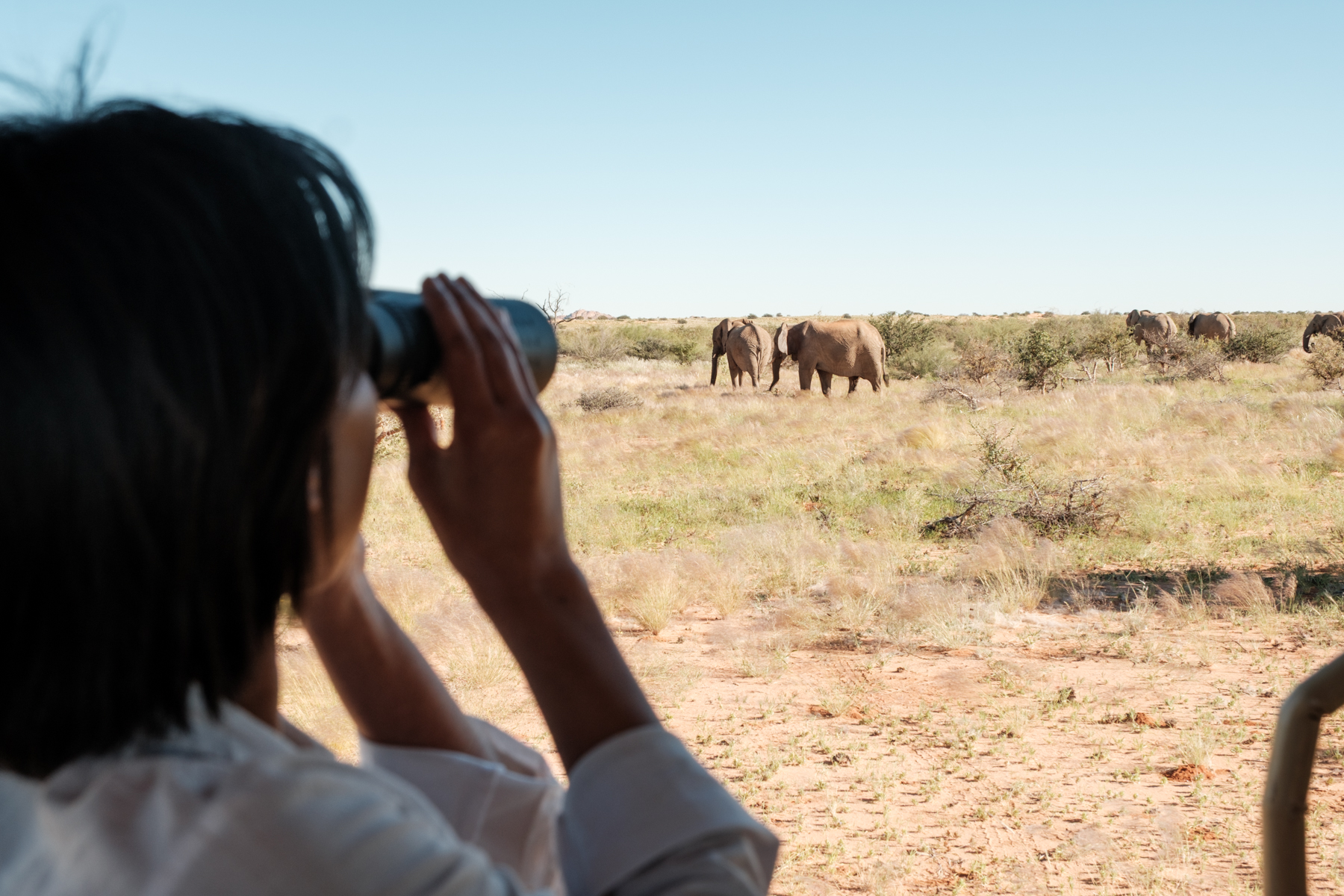 Guest watching desert elephants through binoculars on guided safari Damaraland
